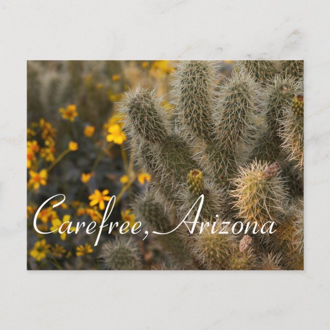 Cactus and Wildflowers in Carefree, Arizona Postcard (Front)