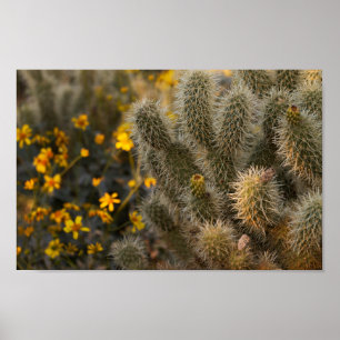 cactus and wildflowers poster