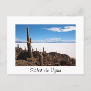 Cactus at the Salar de Uyuni text border postcard