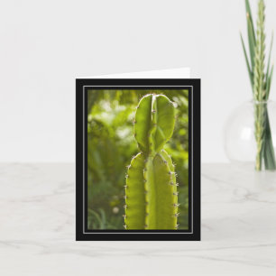 Cactus Blank Note Card