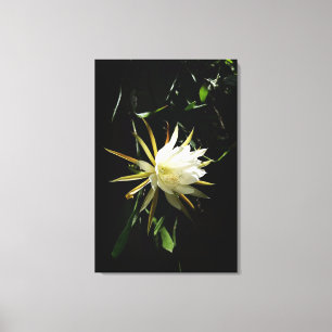 Cactus Bloom Canvas Print