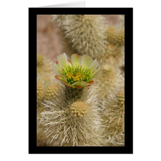 Cactus Bloom Card