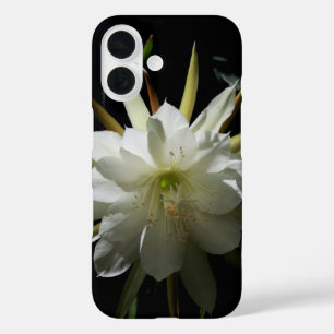 Cactus Bloom iPhone 16 Case
