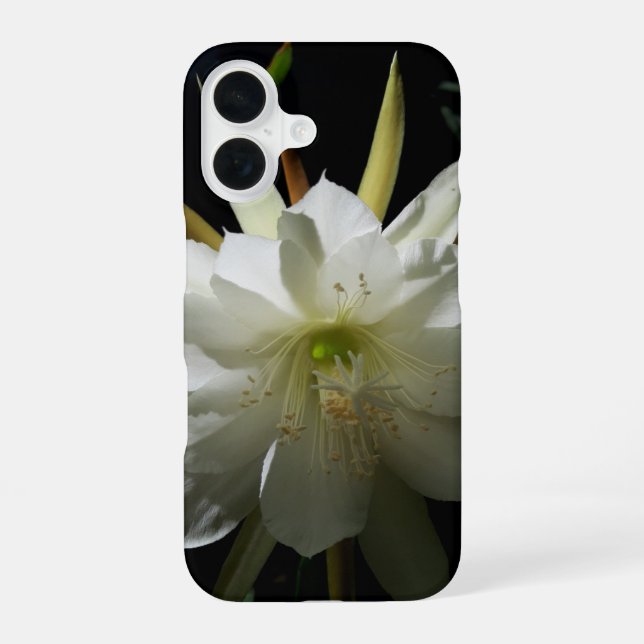 Cactus Bloom iPhone 16 Case (Back)
