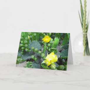 Cactus Blooms Full Bleed Blank Card