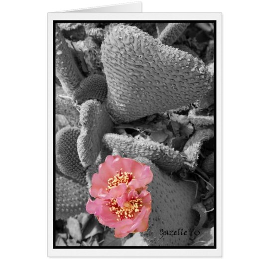 Cactus Blossom Card