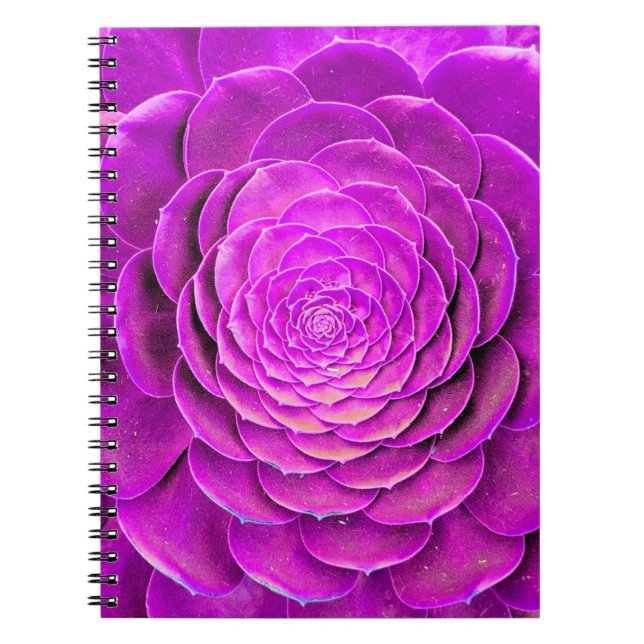 Cactus blossom design notebook (Front)