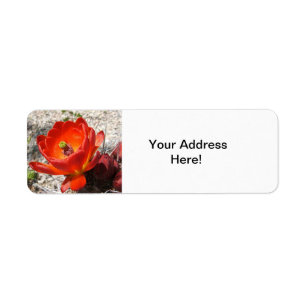 Cactus blossom return labels