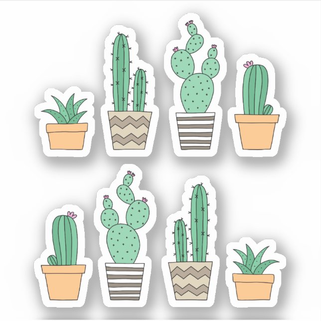 Cactus cacti succulent stickers (Front)