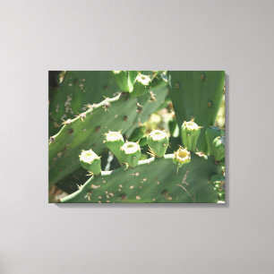 Cactus Canvas Print