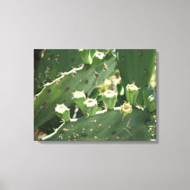 Cactus Canvas Print (Front)