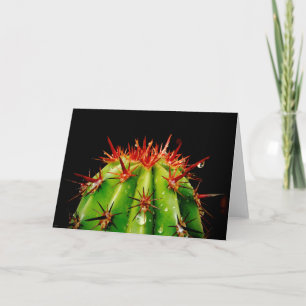 Cactus  card