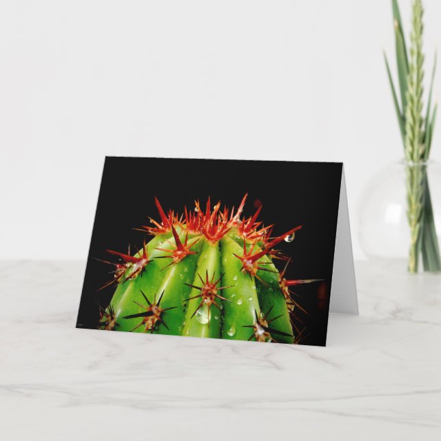Cactus  card (Front)