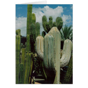 Cactus Card