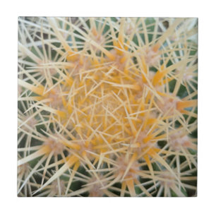 Cactus Ceramic Tile