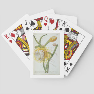 Cactus: Cereus, from Trew's 'Plantae Selectae' 175 Playing Cards