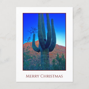 Cactus Christmas  Holiday Card