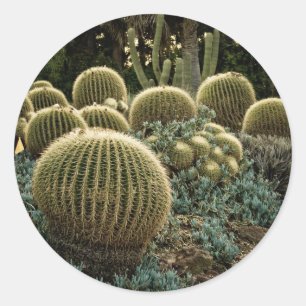 Cactus Classic Round Sticker