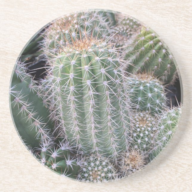 Cactus Coaster (Front)