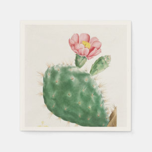 Cactus Cochenillifer, Antique Illustration, 1799 Napkin