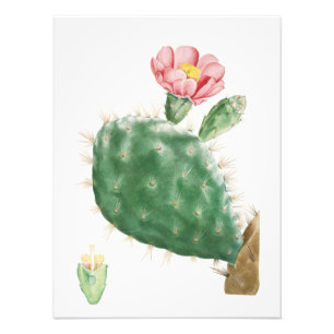 Cactus Cochenillifer, Antique Illustration, 1799 Photo Print