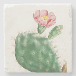 Cactus Cochenillifer, Antique Illustration, 1799 Stone Coaster
