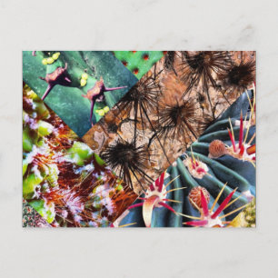 Cactus Collage Postcard