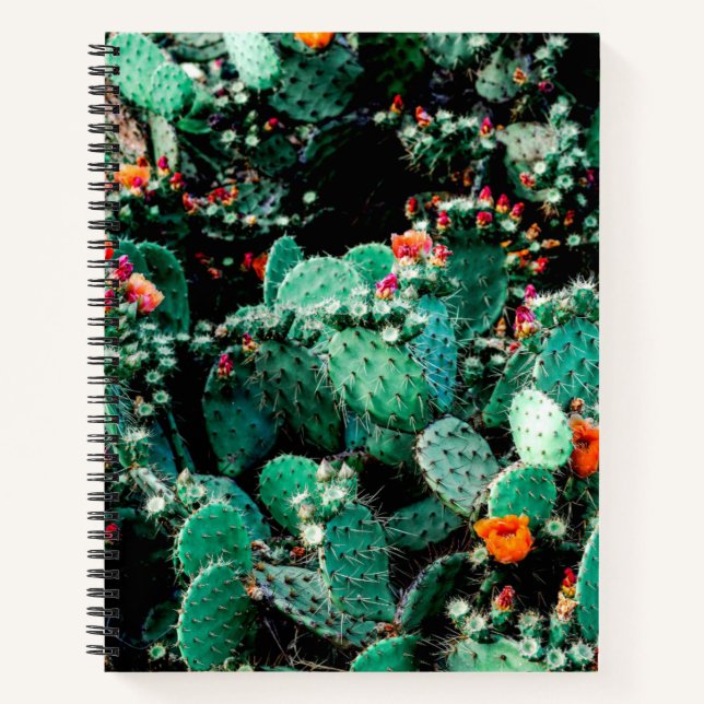 Cactus College Notebook (Front)