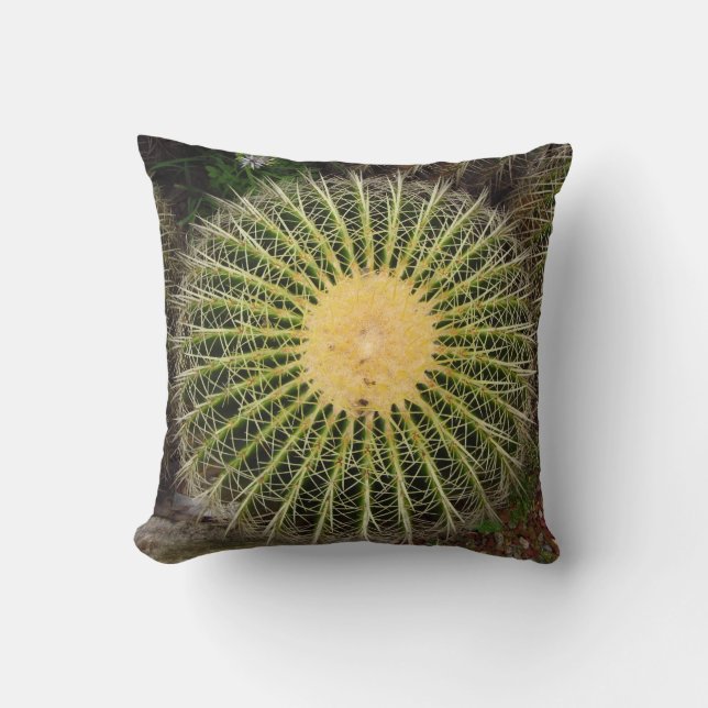 Cactus Cushion (Front)