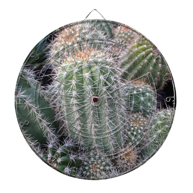 Cactus Dartboard (Front)