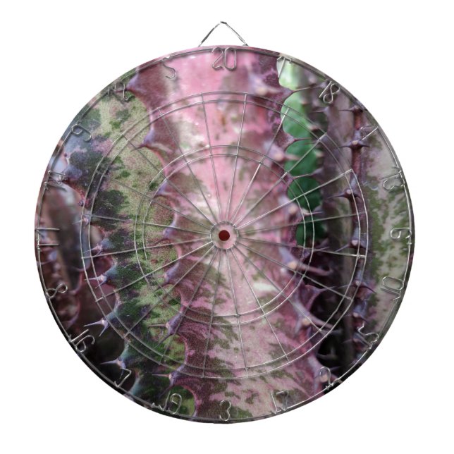Cactus Dartboard (Front)