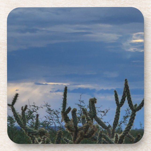 Cactus Desert Monsoon Coaster (Front)