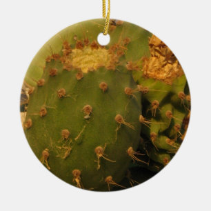 Cactus Detail Photography Circle Ornament