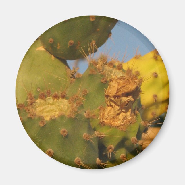 Cactus Detail Photography Round Magnet (Front)