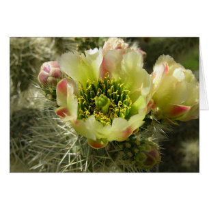 Cactus Flower