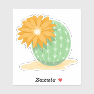 Cactus Flower