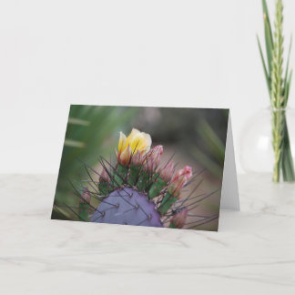 Cactus Flower 7 Card