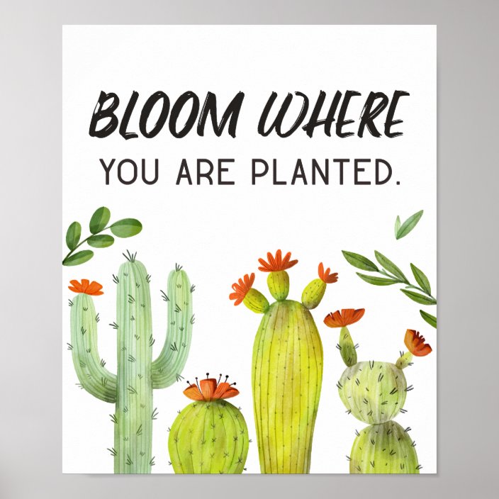 Cactus Flower Art Motivational Quotes Poster | Zazzle.co.uk