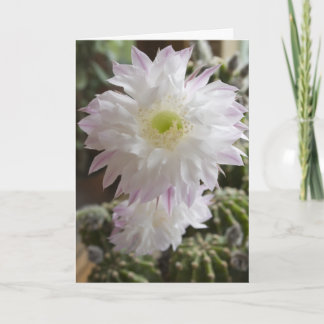 cactus flower ...  card