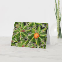 Cactus Flower Card - Customise Greeting