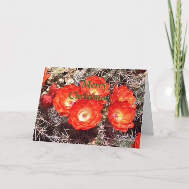 Cactus Flower Christmas Card (Front)
