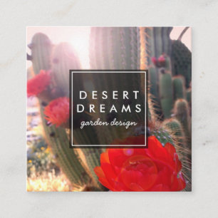 Cactus Flower Desert Garden Photo Travel Tourism Square Business Card