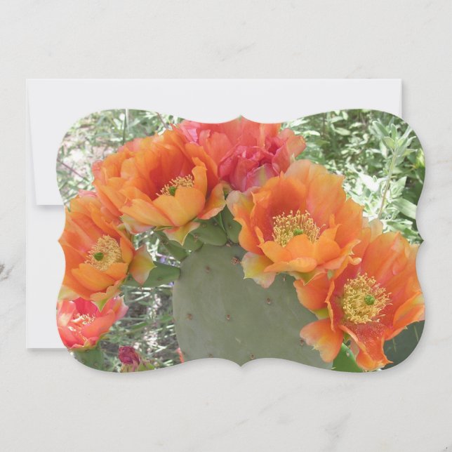 Cactus Flower Invitation (Front)
