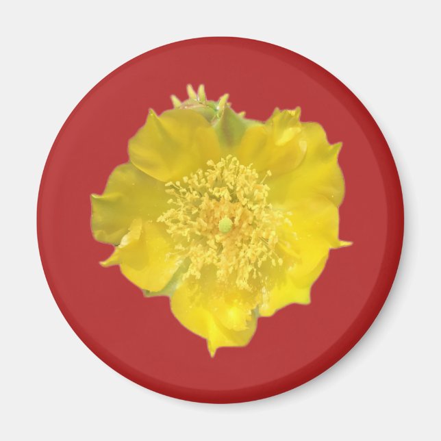 Cactus Flower Magnet (Front)