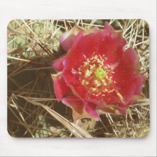 Cactus Flower Mouse Mat