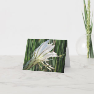 Cactus Flower Note Cards