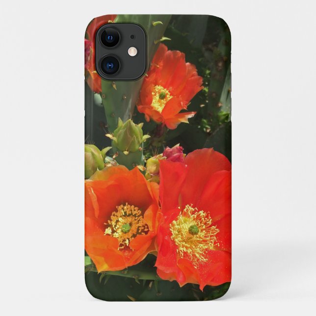 Cactus Flower Photo Bright Red Bloom Southwest Case-Mate iPhone Case (Back)