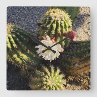 Cactus flower Photo Square Wall Clock