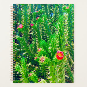 Cactus Flower Planner