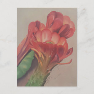Cactus Flower Postcard